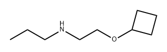 1-Propanamine, N-[2-(cyclobutyloxy)ethyl]- 구조식 이미지