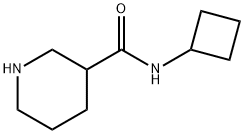 N-cyclobutylpiperidine-3-carboxamide Structure