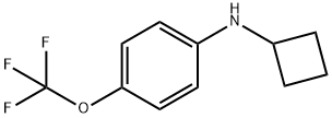 N-Cyclobutyl-4-(trifluoromethoxy)aniline Structure