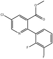 Methyl 5-chloro-2-(2,3-difluorophenyl)nicotinate Structure