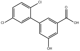 3-(2,5-Dichlorophenyl)-5-hydroxybenzoic acid Structure