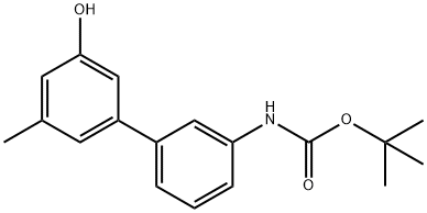 Carbamic acid, N-?(3'-?hydroxy-?5'-?methyl[1,?1'-?biphenyl]?-?3-?yl)?-?, 1,?1-?dimethylethyl ester Structure