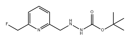 Hydrazinecarboxylic acid, 2-[[6-(fluoromethyl)-2-pyridinyl]methyl]-, 1,1-dimethylethyl ester 구조식 이미지