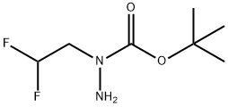 N-(2,2-difluoroethyl)(tert-butoxy)carbohydrazide Structure