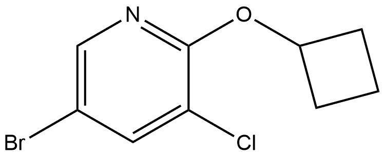 5-Bromo-3-chloro-2-(cyclobutyloxy)pyridine Structure