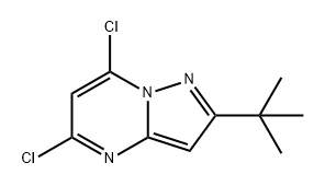 Pyrazolo[1,5-a]pyrimidine, 5,7-dichloro-2-(1,1-dimethylethyl)- Structure