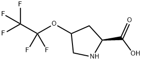 4-(Perfluoroethoxy)pyrrolidine-2-carboxylic acid Structure