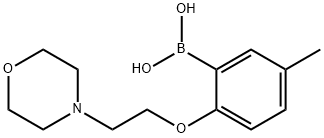 Boronic acid, B-[5-methyl-2-[2-(4-morpholinyl)ethoxy]phenyl]- Structure