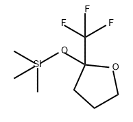 Furan, tetrahydro-2-(trifluoromethyl)-2-[(trimethylsilyl)oxy]- 구조식 이미지