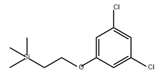 Benzene, 1,3-dichloro-5-[2-(trimethylsilyl)ethoxy]- 구조식 이미지