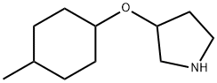 Pyrrolidine, 3-[(4-methylcyclohexyl)oxy]- Structure