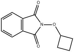 1H-Isoindole-1,3(2H)-dione, 2-(cyclobutyloxy)- Structure