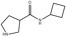 N-cyclobutylpyrrolidine-3-carboxamide Structure