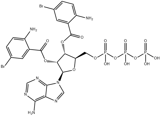 Bis-Br-ANT-ATP Structure