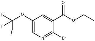 3-Pyridinecarboxylic acid, 2-bromo-5-(trifluoromethoxy)-, ethyl ester Structure