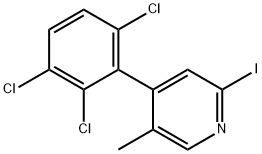 2-Iodo-5-methyl-4-(2,3,6-trichlorophenyl)pyridine Structure