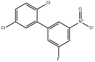 2,5-Dichloro-5'-fluoro-3'-nitro-biphenyl Structure