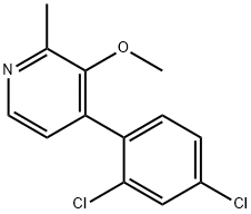 4-(2,4-Dichlorophenyl)-3-methoxy-2-methylpyridine Structure