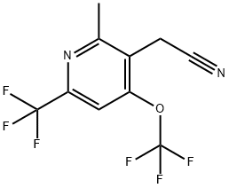 2-Methyl-4-(trifluoromethoxy)-6-(trifluoromethyl)pyridine-3-acetonitrile Structure