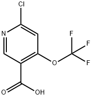 2-Chloro-4-(trifluoromethoxy)pyridine-5-carboxylic acid Structure