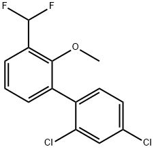 3'-Difluoromethyl-2,4-dichloro-2'-methoxy-biphenyl Structure