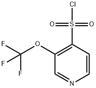 4-Pyridinesulfonyl chloride, 3-(trifluoromethoxy)- Structure