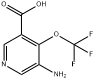 3-Amino-4-(trifluoromethoxy)pyridine-5-carboxylic acid Structure