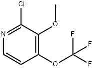 2-Chloro-3-methoxy-4-(trifluoromethoxy)pyridine 구조식 이미지