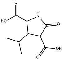 5-Oxo-3-(propan-2-yl)pyrrolidine-2,4-dicarboxylic acid Structure