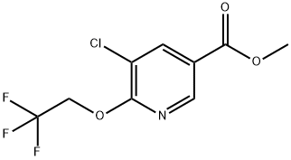 methyl 5-chloro-6-(2,2,2-trifluoroethoxy)nicotinate Structure