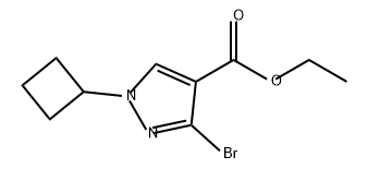 1H-Pyrazole-4-carboxylic acid, 3-bromo-1-cyclobutyl-, ethyl ester Structure