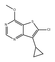 Thieno[3,2-d]pyrimidine, 6-chloro-7-cyclopropyl-4-methoxy- 구조식 이미지