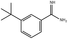 Benzenecarboximidamide, 3-(1,1-dimethylethyl)- 구조식 이미지