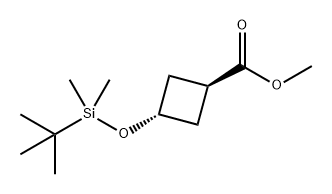 Cyclobutanecarboxylic acid, 3-[[(1,1-dimethylethyl)dimethylsilyl]oxy]-, methyl ester, trans- Structure