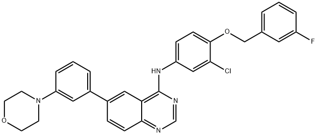 4-Quinazolinamine, N-[3-chloro-4-[(3-fluorophenyl)methoxy]phenyl]-6-[3-(4-morpholinyl)phenyl]- 구조식 이미지