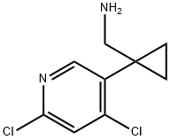 Cyclopropanemethanamine, 1-(4,6-dichloro-3-pyridinyl)- 구조식 이미지