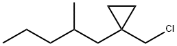 Cyclopropane, 1-(chloromethyl)-1-(2-methylpentyl)- Structure