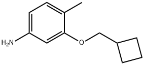 3-(cyclobutylmethoxy)-4-methylaniline Structure