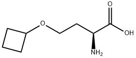 O-cyclobutyl-L-homoserine Structure