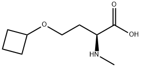 L-Homoserine, O-cyclobutyl-N-methyl- Structure