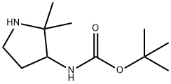 tert-butyl N-(2,2-dimethylpyrrolidin-3-yl)carbamate Structure