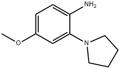 4-Methoxy-2-(pyrrolidin-1-yl)aniline 구조식 이미지