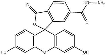 Spiro[isobenzofuran-1(3H),9'-[9H]xanthene]-6-carboxylic acid, 3',6'-dihydroxy-3-oxo-, hydrazide Structure