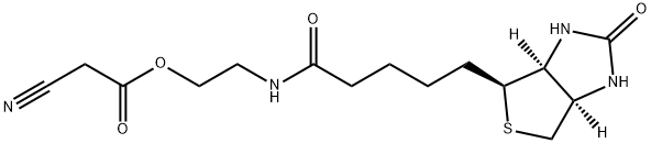 Acetic acid, 2-cyano-, 2-[[5-[(3aS,4S,6aR)-hexahydro-2-oxo-1H-thieno[3,4-d]imidazol-4-yl]-1-oxopentyl]amino]ethyl ester Structure