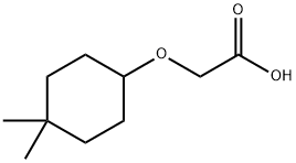 2-[(4,4-dimethylcyclohexyl)oxy]acetic acid Structure