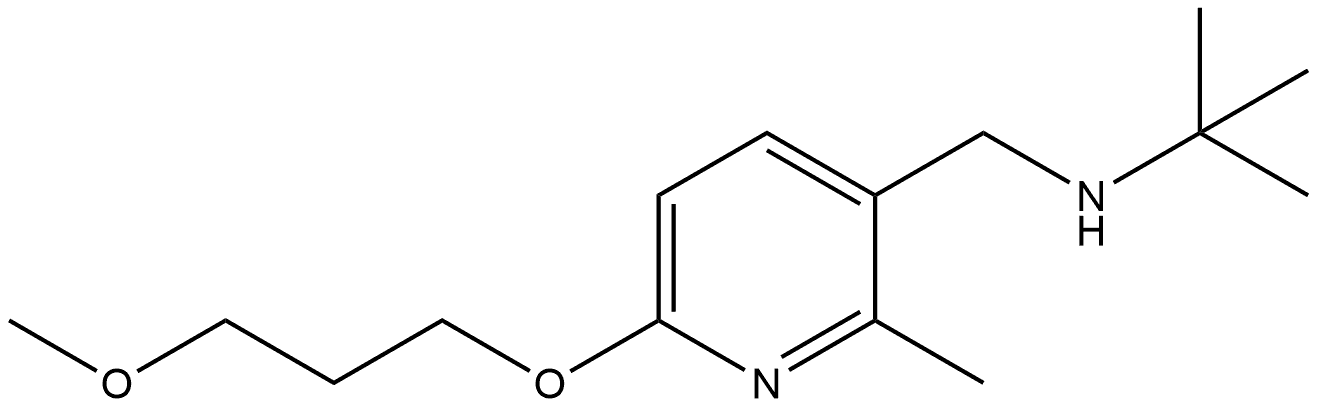 N-(1,1-Dimethylethyl)-6-(3-methoxypropoxy)-2-methyl-3-pyridinemethanamine Structure