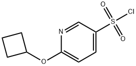 3-Pyridinesulfonyl chloride, 6-(cyclobutyloxy)- Structure