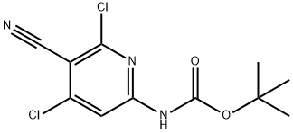 Carbamic acid, N-(4,6-dichloro-5-cyano-2-pyridinyl)-, 1,1-dimethylethyl ester Structure