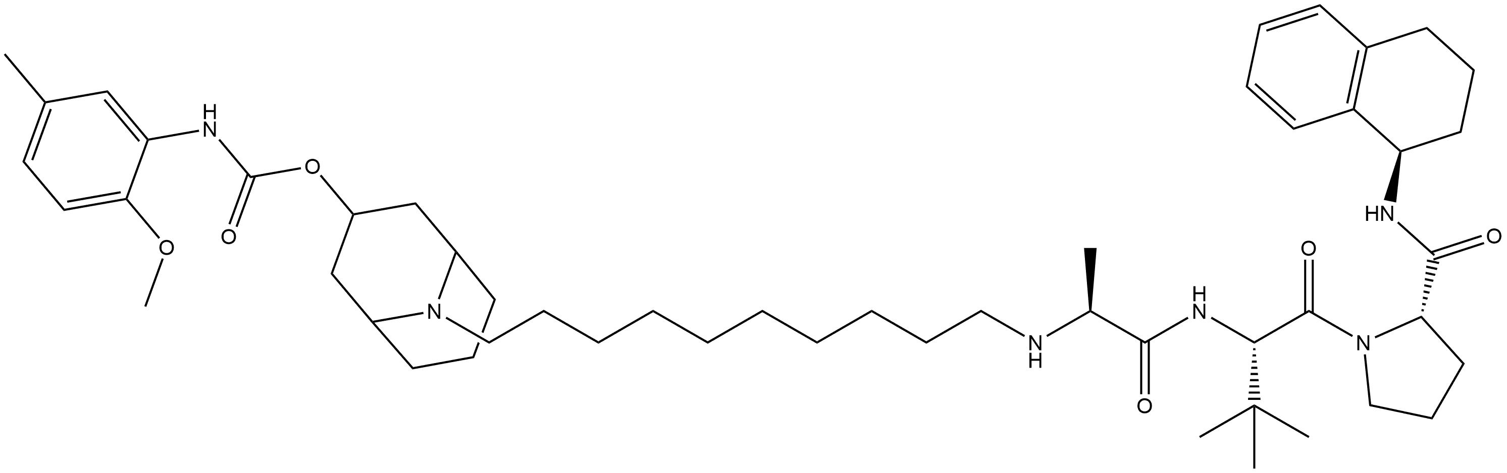 SW IV-134 Structure