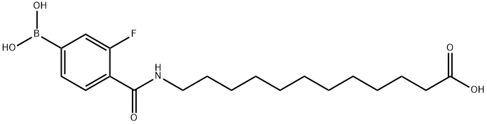 Dodecanoic acid, 12-[(4-borono-2-fluorobenzoyl)amino]- Structure